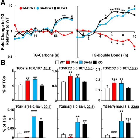 Hepatic Tg Composition In Genetically Modified Pnpla Mice A The