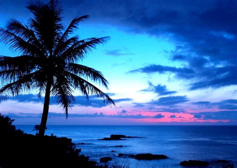 Tropical Sunset Wallpaper | Zoom Wallpapers