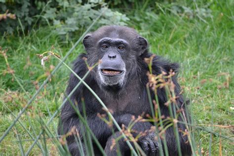 Things to do while at the Entebbe Zoo | Entebbe Zoo Attractions