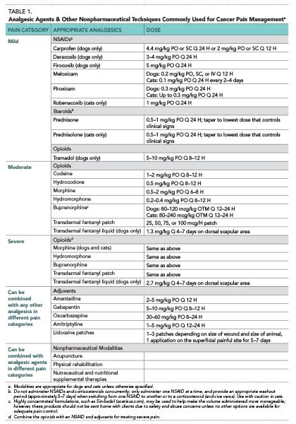 Tramadol Dosage For Cats By Weight