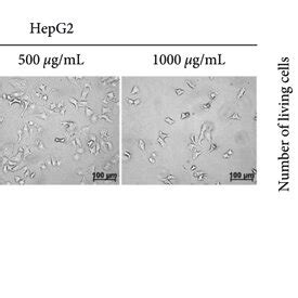 Alr Suppresses The Viability And Proliferation Of Hepg Cells A B