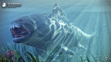 A Brief History Of The Shortened Dunkleosteus 3d Dinopedia