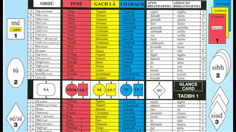 Irish Grammar and Verb Glance Card - Glancecard - An Siopa Leabhar