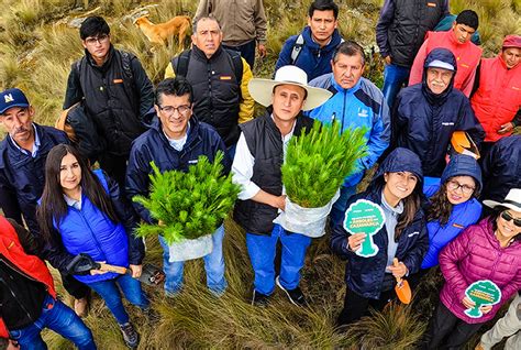 PROYECTO HUELLA VERDE DE NEWMONT FONCREAGRO ESPERA SEMBRAR MILLÓN Y