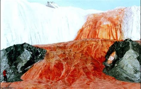 🔥 Blood Falls, Antarctica 🔥 : r/NatureIsFuckingLit