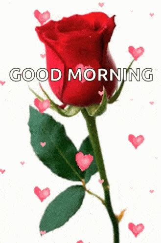 Good Morning Gif - IceGif