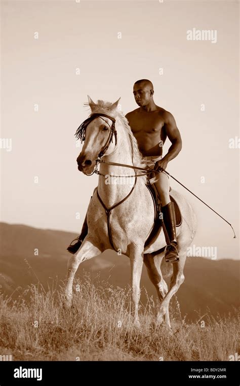 Muscular Black Man Riding White Horse High Resolution Stock Photography