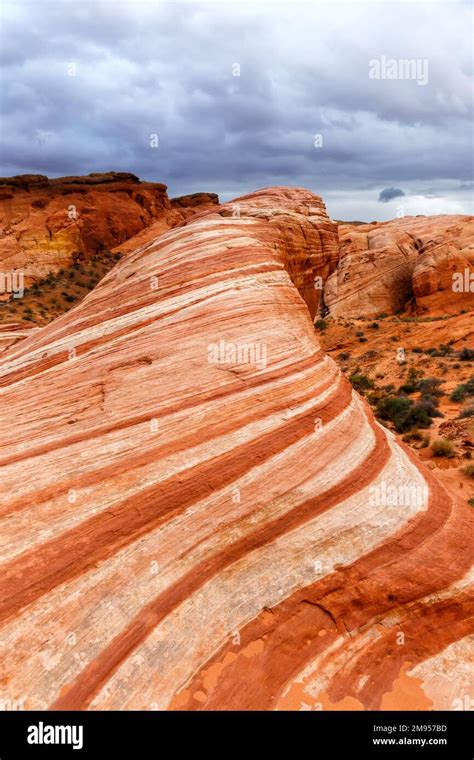 Red Sandstone Rock Formation Fire Wave Inside Valley Of Fire State Park Portrait Format Travel