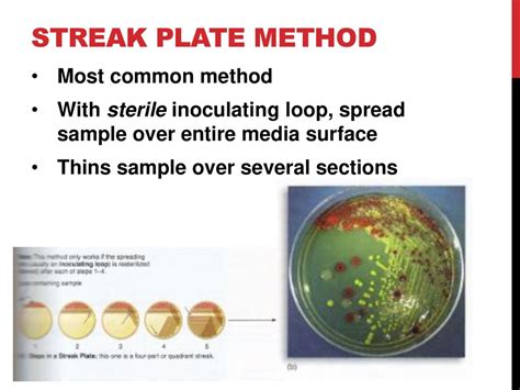 Tools Of The Laboratory Ppt Download