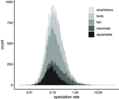 Speciation rate variation across major vertebrate clades. Speciation ...