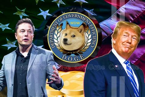 Will Elon Musk's D.O.G.E. Probe US SEC Spending On Ripple CLO's Request?