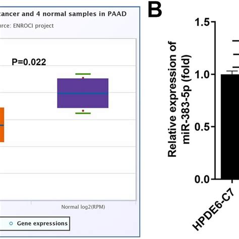 Mir P Was Downregulated In Pancreatic Cancer A Mir P