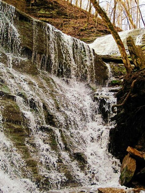 Jackson Falls Just One Of The Many Hikes On The Natchez Trace Parkway