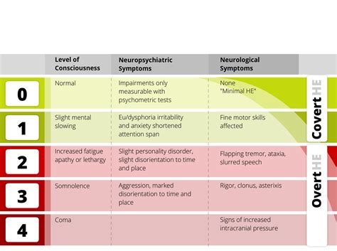 Hepatic Encephalopathy – Cirrhosis Care