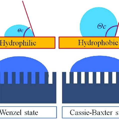 Schematic Representation Of A The Contact Angle And B The Wetting