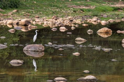 Munnar Waterfalls Private Off-Roading Tour - Book at Civitatis.com