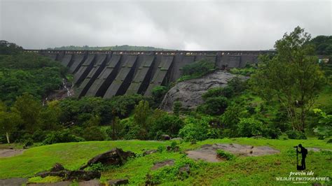 wilson bhandardara dam tripoto
