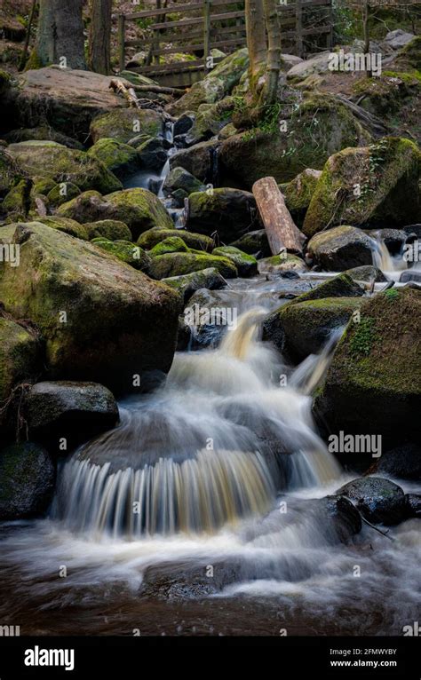 Wyming Brook Nature Reserve Peak District National Park Sheffield