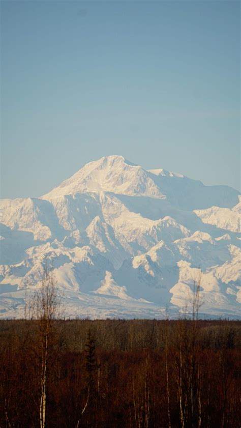 Alaska Wild Guides: Denali View Snowmobiling & Dog… | ALASKA.ORG