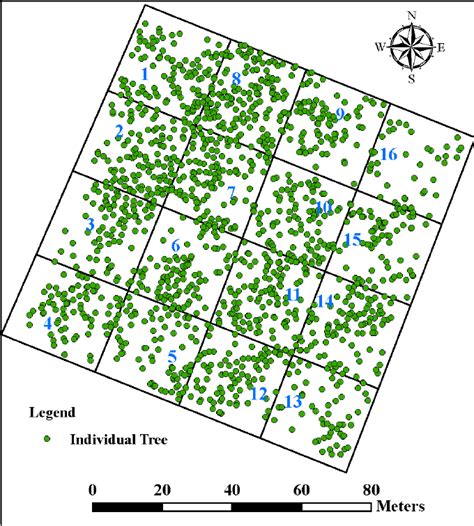 The Spatial Distribution Of The Field Measured Individual Trees In The Download Scientific