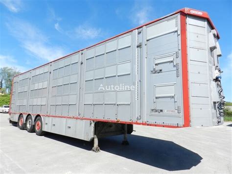 Pezzaioli SBA63U livestock semi trailer for sale Poland Chodzież ER39069