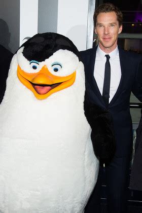 Benedict Cumberbatch Attends Premiere Penguins Madagascar Editorial ...