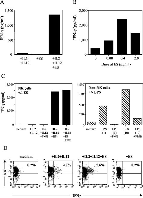 Figure 4 From Production γ Selectively To Nk Cells And Induces Ifn Binds Necator Americanus