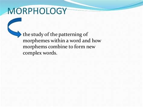 Ppt Morphology