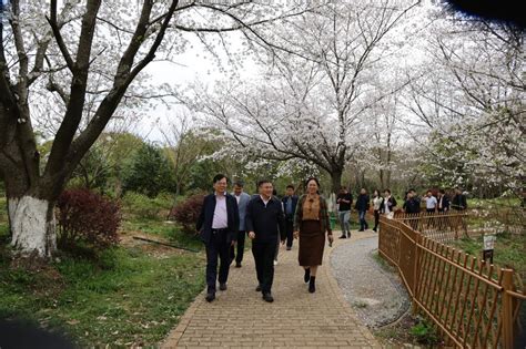 宜丰县委书记康健一行到省林科院调研交流 江西省林业科学院