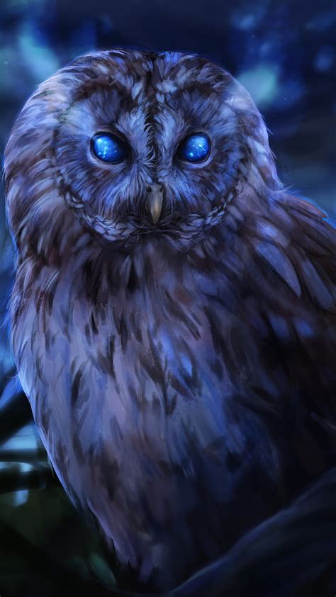 1920x1080px 1080p Free Download Owl Eyes Hawk Night Owls Hd