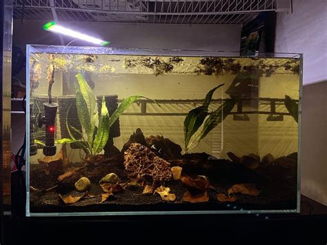 Just Set Up An Aquarium For My Best Friend Raquariums