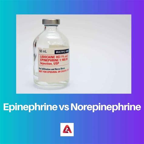 Epinephrine Vs Norepinephrine Difference And Comparison