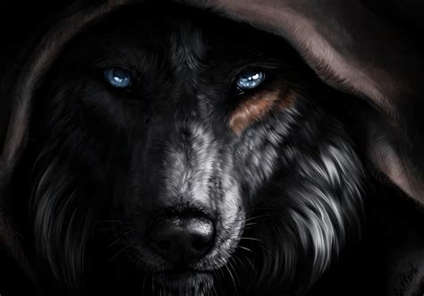 Black Wolf With Blue Eyes Wallpaper