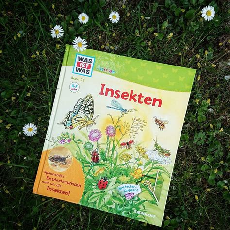 Insekten Von Der Dlandschrecke Bis Zum Marienk Fer Buchkind Blog