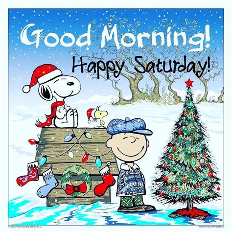 Pin By Tracie Barr Nash On Good Morning Quotes Merry Christmas Charlie Brown Snoopy Christmas