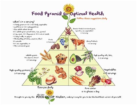 Food Pyramid for Optimal Health – Food Pyramid