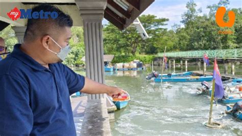 Selesai Isu Air Hitam Kini Sungai Masai Dicemari Tompokan Putih