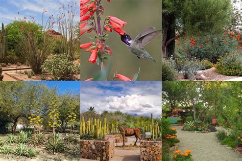 Adwr On Twitter You Dont Have To Look Far To Find Inspiration At A Beautiful Xeriscape