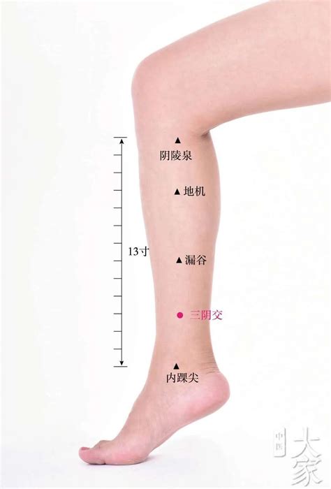 三阴和足三里位置 按摩足三里的好处 伤感说说吧