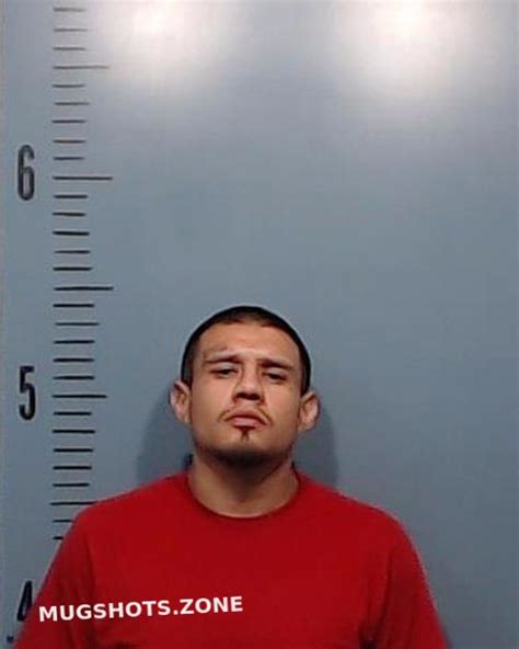 Gonzalez Michael Xavier 08 09 2023 Taylor County Mugshots Zone