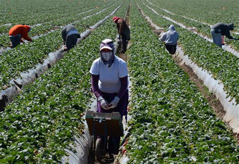 Farmers Need Immigration Reform U S Agriculture Secretary Says HuffPost