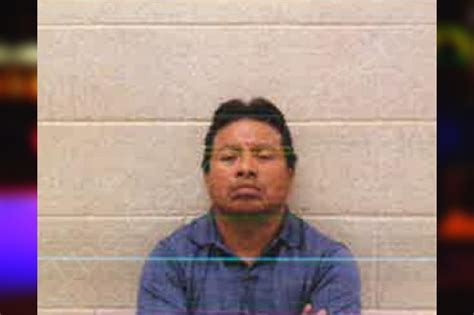 Victoriano Bautista Pickens County Jail Bookings