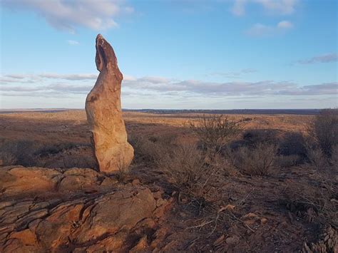 The Broken Hill Sculptures And Living Desert Sanctuary 2020 All You