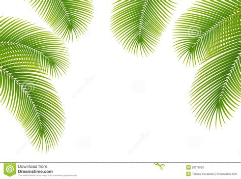 Clipart Palm Tree Borders 20 Free Cliparts Download Images On