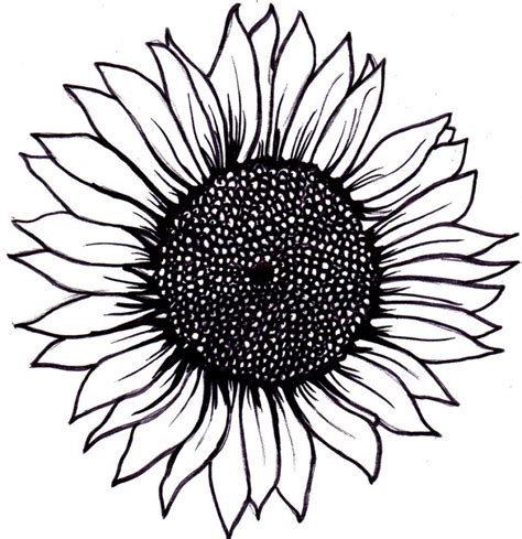 Sunflower Drawing Simple at PaintingValley.com | Explore collection of ...