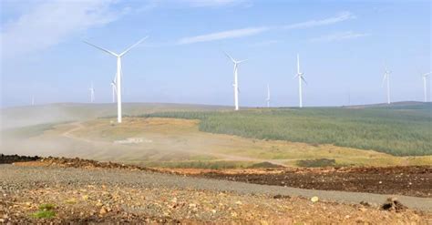 Kimberly Clark Professional Inaugurates Wind Farm In Uk