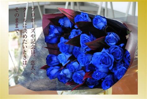 グでお 【送料無料】憧れの青いバラの花束50本♪ 男性 女性 薔薇 花 ギフト：フルールココ店 カラー：ブルー バラ花束 誕生日 プレゼント きます