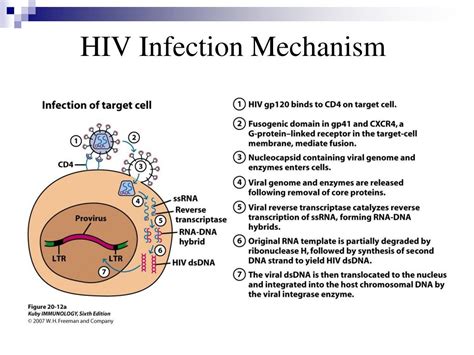 Hiv Creampie Telegraph