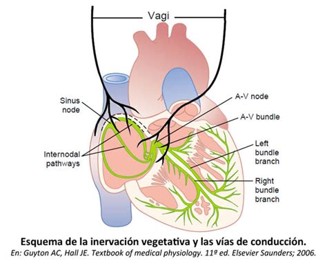 reacción vagal en Per Ardua ad Astra