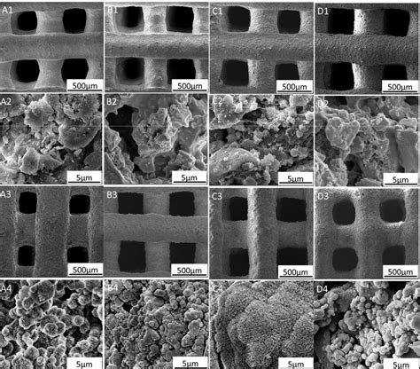 Sem Morphology For Pva Sr Containing Bioactive Glass Scaffolds Before